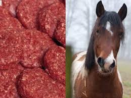 cheval et viande