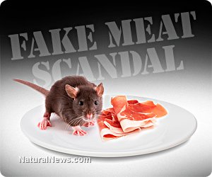 Fake-Meat-Scandal-Rat-Dinner-Plate