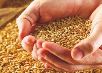 Interview with Dr. Alaa Gafouri, Manager Director of HIFMI