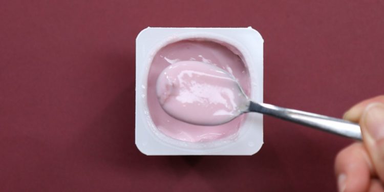 Du porc dans nos yahourts ?