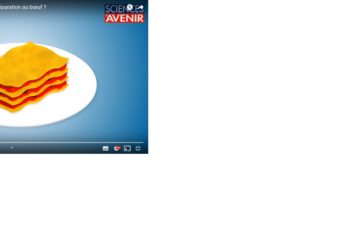 Comment détecter de l&rsquo;ADN de cheval dans une préparation au bœuf ?