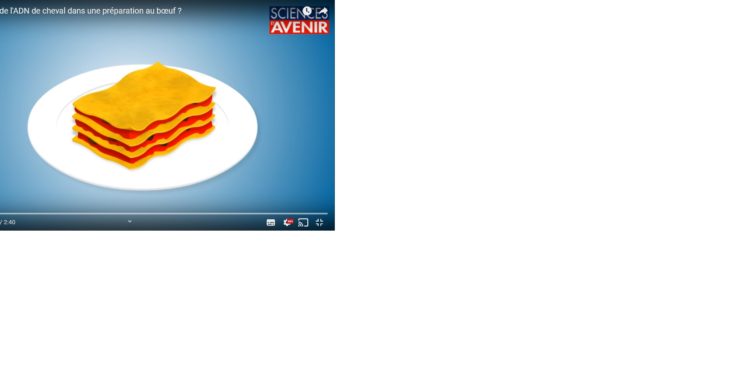 Comment détecter de l&rsquo;ADN de cheval dans une préparation au bœuf ?