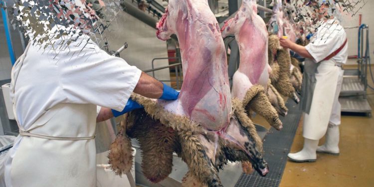 Virginie : l&rsquo;abattoir halal obtient autorisation de s&rsquo;implanter malgré opposition