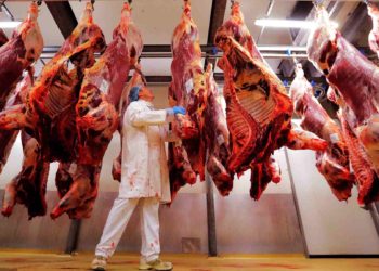 Halal butcher slaughterhouse wins approval in Virginia city despite opposition