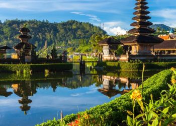 Indonesia : US$1.6 billion in revenue from the halal certification law