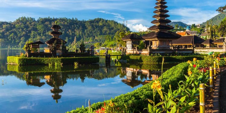 Indonesia : US$1.6 billion in revenue from the halal certification law