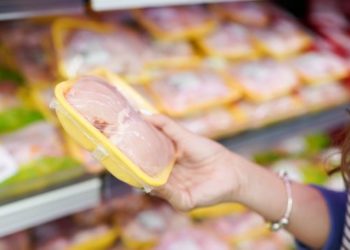 Portugal : Fraude sur le poulet certifié « comité halal »