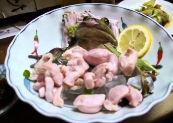 لماذا نهينا عن أكل الضفادع ؟ | علي_جمعة