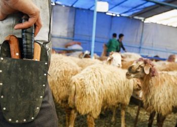 المؤتمر الأول المنعقد في ألمانیا فیما یخص الذبح الحلال