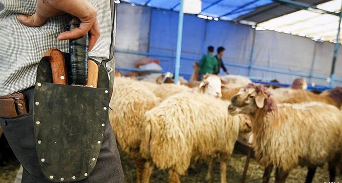 المؤتمر الأول المنعقد في ألمانیا فیما یخص الذبح الحلال