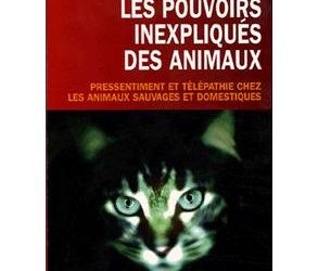 Les pouvoirs inexpliqués des animaux (Animal Powers)