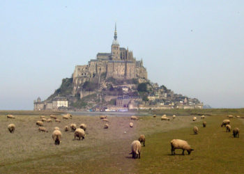 Agneau NZ ou agneau Français